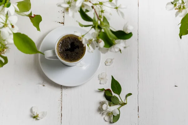 Primavera naturaleza muerta. Taza de café con flores de manzano y mascota — Foto de Stock