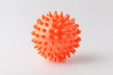 Beyaz arka planda izole bir köpek ile Oyunlar için kauçuk top. M