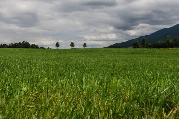 Fin utsikt över gröna bergen i bayerska Alperna — Stockfoto