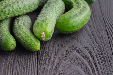 Salatalık hasat. birçok salatalık. tarlada salatalık