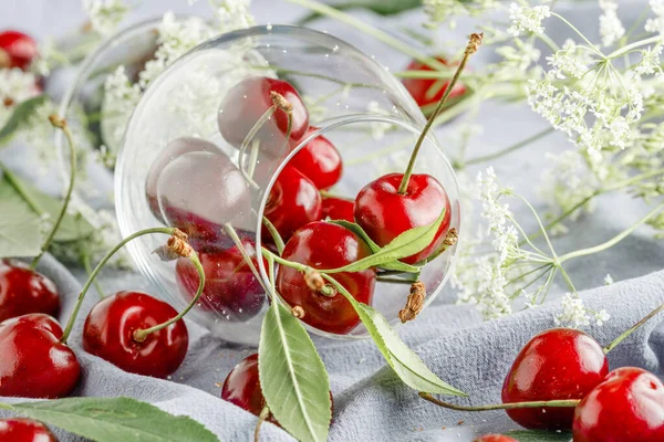 Zralé Třešně Vodě Kapky Listy Ubrousku — Stock fotografie