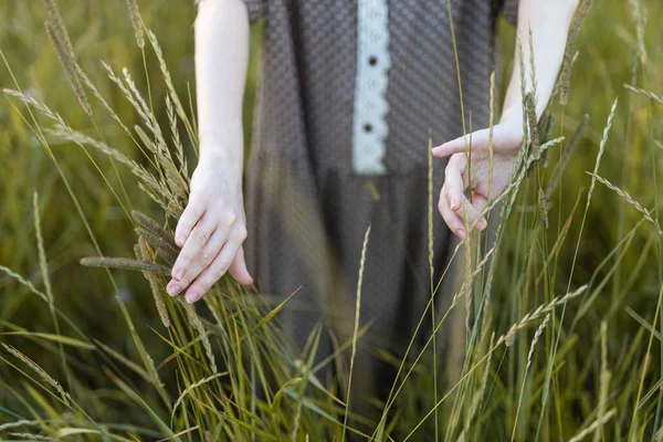 夏の草地で草の中で遊んでいる少女の手を閉じて — ストック写真