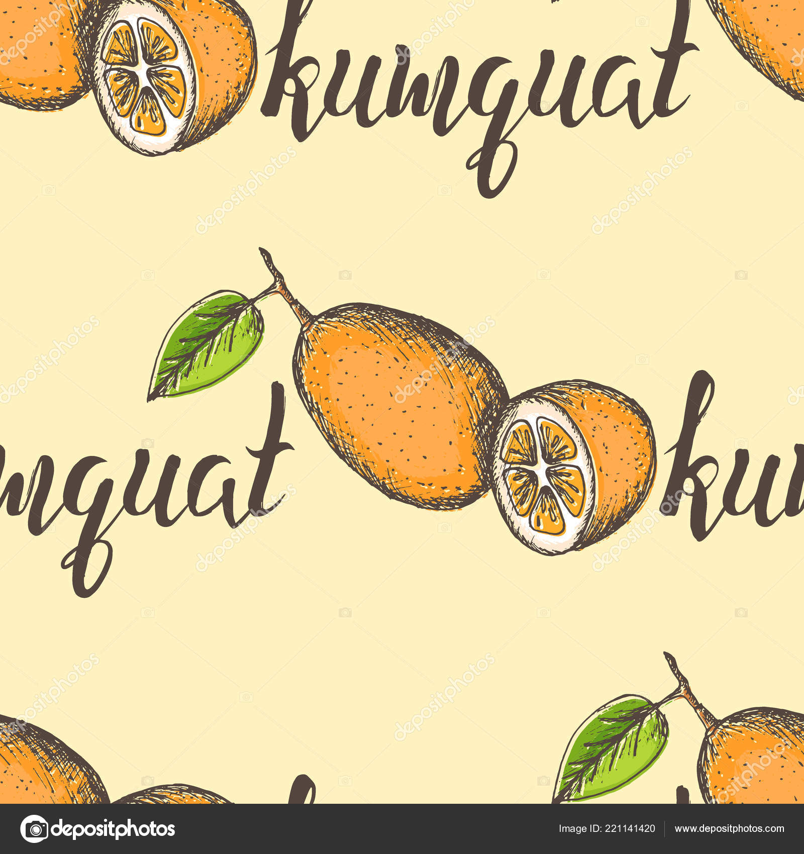 45 Cumquat-stockillustrasjoner | DepositPhotos, image size:1600x1700