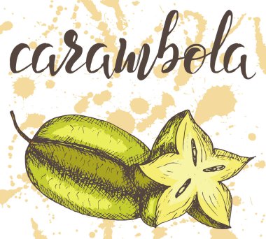 Vektör illüstrasyonu, suluboya spreylere yazılı el çizimi karambola