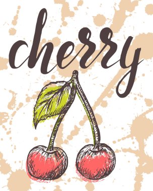 Vektör illüstrasyon, suluboya spreylere yazılmış el çizimi kiraz.