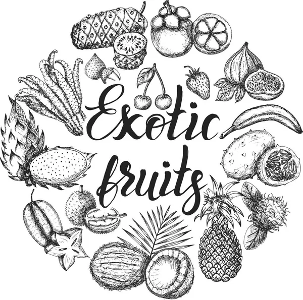 Illustration Vectorielle Ensemble Fruits Exotiques Dessinés Main Avec Inscription — Image vectorielle