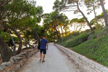 Gün batımında deniz kenarında orman yolunda yürüyen bir adam. Çam ağaçları ve yeşilliklerle çevrili manzaralı çakıl yolunda tek başına yürüyen bir adam gün batımının ışığını süzüyor.