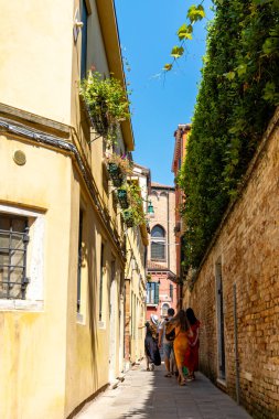 Güneşli Venedik Geçidi 'nde yürüyen bir grup turist. Turistler Venedik 'te canlı duvarlar, tırmanan yeşillikler ve geleneksel çiçek kutularıyla çevrili dar bir ara sokağı keşfediyorlar.