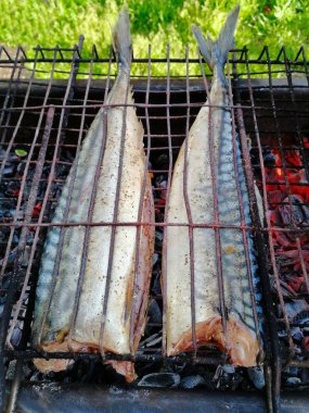 Izgara Uskumru balığı ızgara