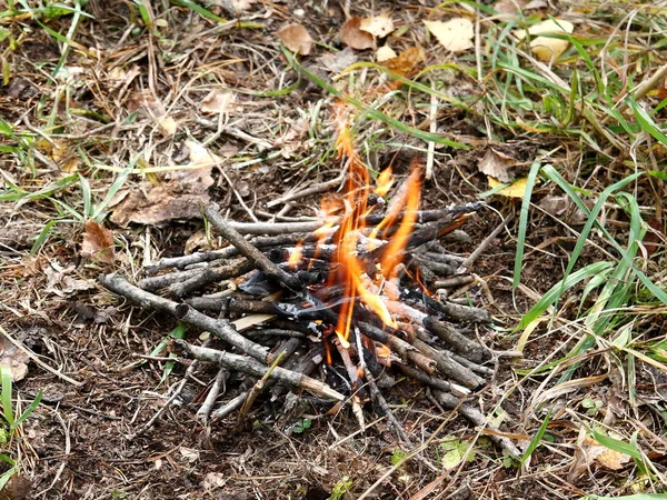 Kleine brand in de herfst bos. — Stockfoto