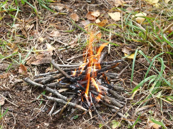 Piccolo incendio nella foresta autunnale . — Foto Stock