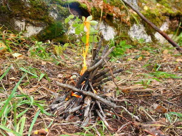 Kleine brand in de herfst bos. — Stockfoto