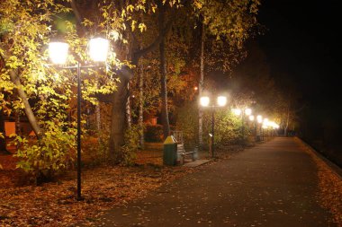 Şehir Parkı. Gece anlık görüntü. Sokakta banklar ile. Parlak sarı ışık sokak ışıkların. Keçiyolundan boy ölçüşemez.