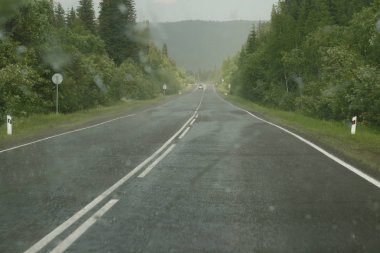Yağmurda ıslak yol.