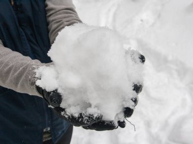 Kadının el bir avuç taze kar kış orman arka plan üzerinde düştü.
