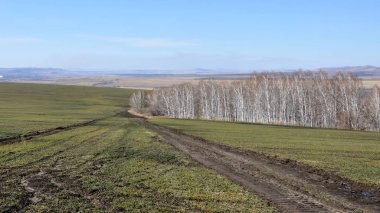 Bahar manzarası. Zemin iniş için hazır.