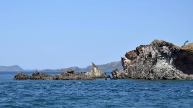 Okyanus kıyısındakeskin resifler