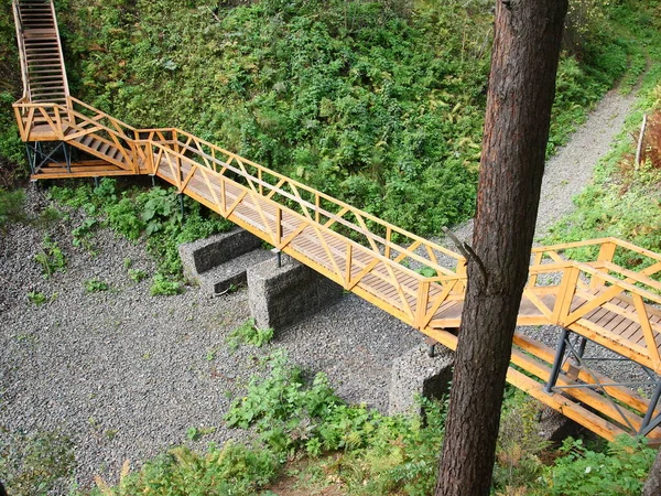 Holzbrücke über eine Schlucht im Wald. — Stockfoto