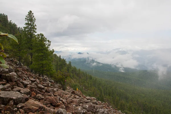 Berglandschaft. Massiver Nebel in den bewaldeten Bergen. — Stockfoto