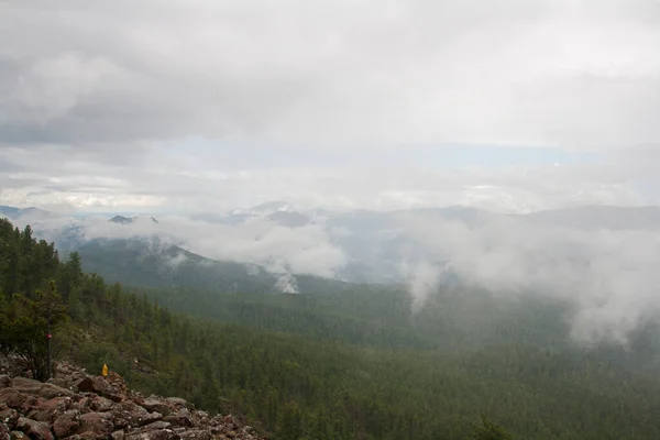 Berglandschaft. Massiver Nebel in den bewaldeten Bergen. — Stockfoto