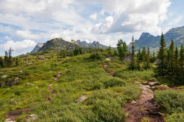 Zirveye çıkan dolambaçlı bir dağ yolu.