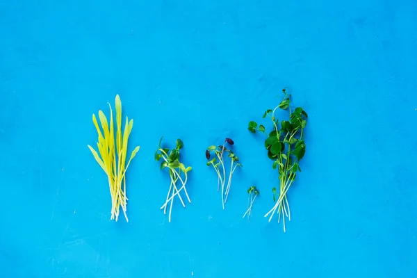 Ensalada Berro Saludable Tipo Diferente Vista Superior Fondo Azul Brillante — Foto de Stock