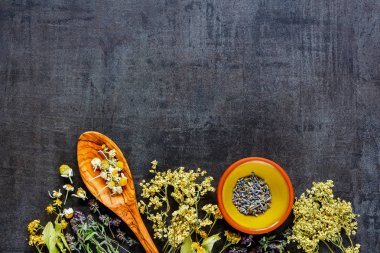 Vahşi ve şifalı otlar antika arka plan düz-lay, temiz yemek biohackers paleo diyet için en iyi görünümü.