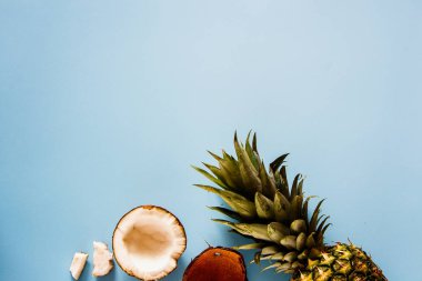 Hindistan cevizi ve ananas pastel mavi zemin üzerine. Tropikal meyve. Yaz kompozisyon. Stil minimalist. Düz yatıyordu, en iyi görünümü
