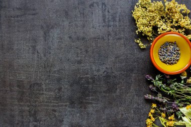 Düz-lay vahşi ve temiz yemek biohackers paleo diyet antika arka plan için şifalı otlar. Üstten görünüm.