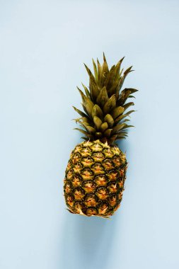 Ananas mavi renkli düz üzerinde yatıyordu. Tropikal meyve. Yararlı doğal organik gıda. Bir tüm nesneyi. Stil minimalist. Üstten görünüm