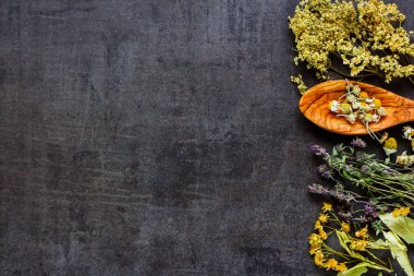 Vahşi ve şifalı otlar düz yatıyordu. Temiz yemek biohackers paleo diyet antika arka plan, en iyi görünüm için şifalı bitkiler.