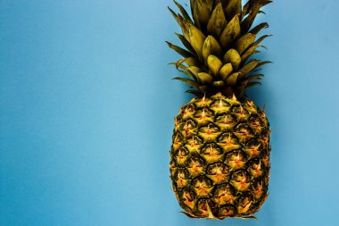 Ananas mavi zemin üzerine kapatın. Tropikal meyve. Yararlı doğal organik gıda. Bir tüm nesneyi. Stil minimalist. Düz yatıyordu, en iyi görünümü