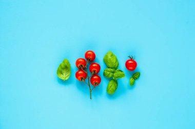 Temiz kompozisyon düz-lay yeme. Kiraz domates ve fesleğen yaprakları üzerinde pastel açık mavi renkli. Üstten görünüm