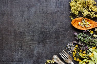 Vahşi ve şifalı otlar kavramı. Temiz yemek biohackers paleo diyet antika arka plan, en iyi görünüm için şifalı otlar düz lay.