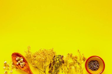 Vahşi ve temiz yemek biohackers paleo diyet sarı arka plan için şifalı otlar. Düz yatıyordu, en iyi görünümü.