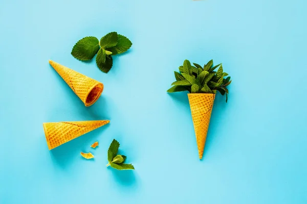 Marco Hecho Conos Gofre Dulce Con Hojas Frescas Menta Sobre — Foto de Stock