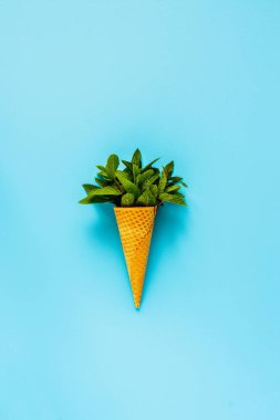 Bahar ya da yaz kompozisyon Waffle tatlı koni ile taze nane pastel açık mavi renkli yaprakları. Tatil ruh kavramı. Düz yatıyordu, en iyi görünümü.