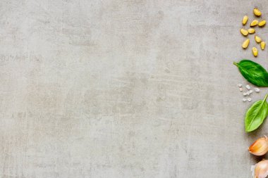 Pesto sosu malzemeler düz yatıyordu. Üstten görünüm, kopya alanı.