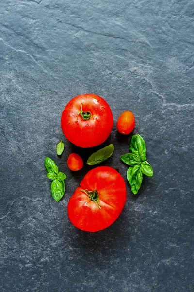 Feuilles Tomate Basilic Sur Fond Plat Vue Dessus — Photo