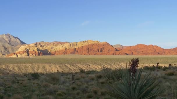 Cañón Red Rock Las Vegas Nevada, Vista panorámica . — Vídeos de Stock