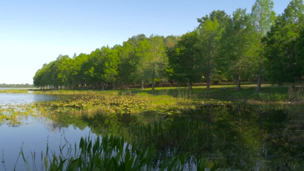 Everglades zone humide en Floride 