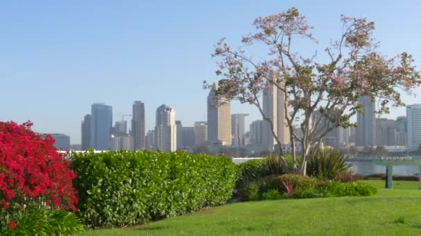 Vista desde Coronado Island hasta el centro de San Diego — Vídeos de Stock