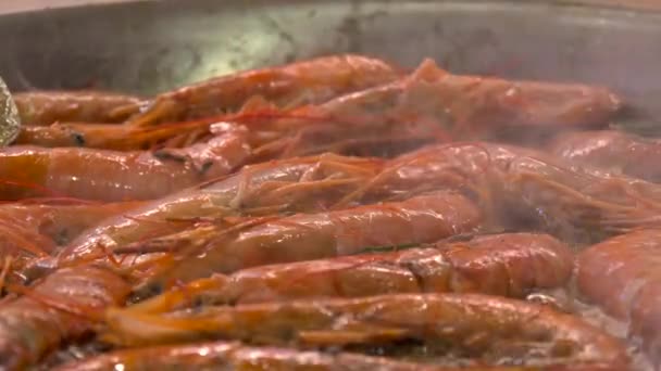 Cuisson des crevettes rôties frites dans une casserole. Gros plan . — Video