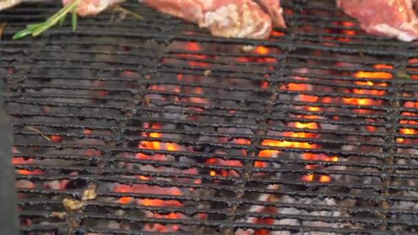 Steak grillé. Côtes sur gril. Gros plan . — Video