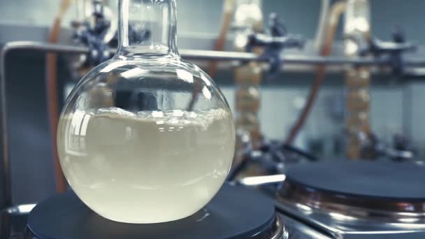 Kokende vloeistof in een maatkolf van in het laboratorium. — Stockvideo