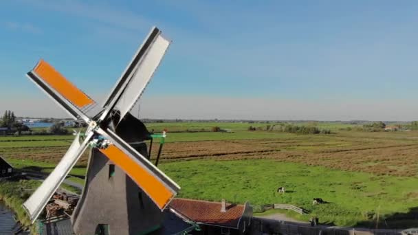 Molinos de torneado disparados de izquierda a derecha . — Vídeo de stock