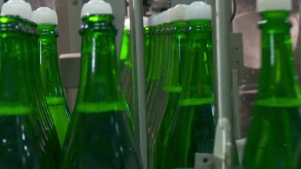 Fábrica para la producción de champán . — Vídeos de Stock