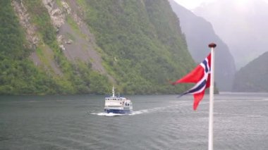 Norveç Fiyordu arka plan üzerinde sallayarak Norveç bayrağı