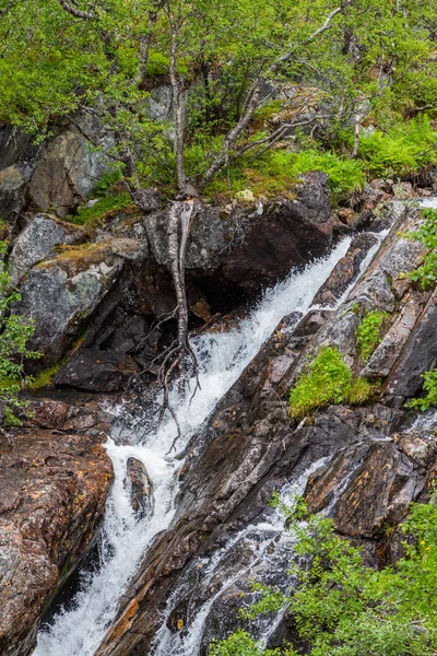 Horský svižný břeh v norských horách — Stock fotografie