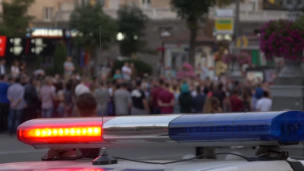 Blikání světel policejní vůz. Nehoda na cestách. — Stock video